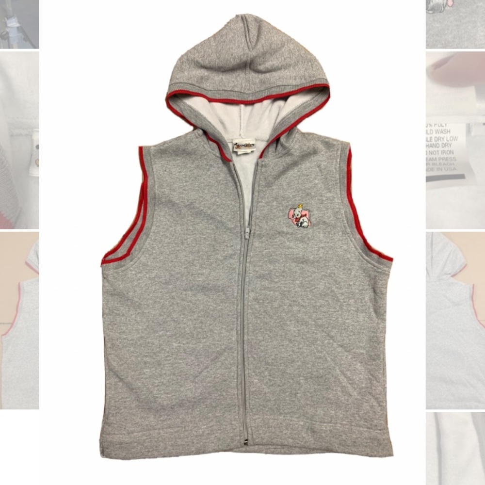 Walt Disney World Dumbo Vest with hood and zip closure